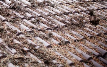 Milebush roof cleaning companies